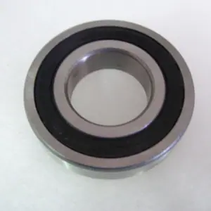 Rear Motor Bearing