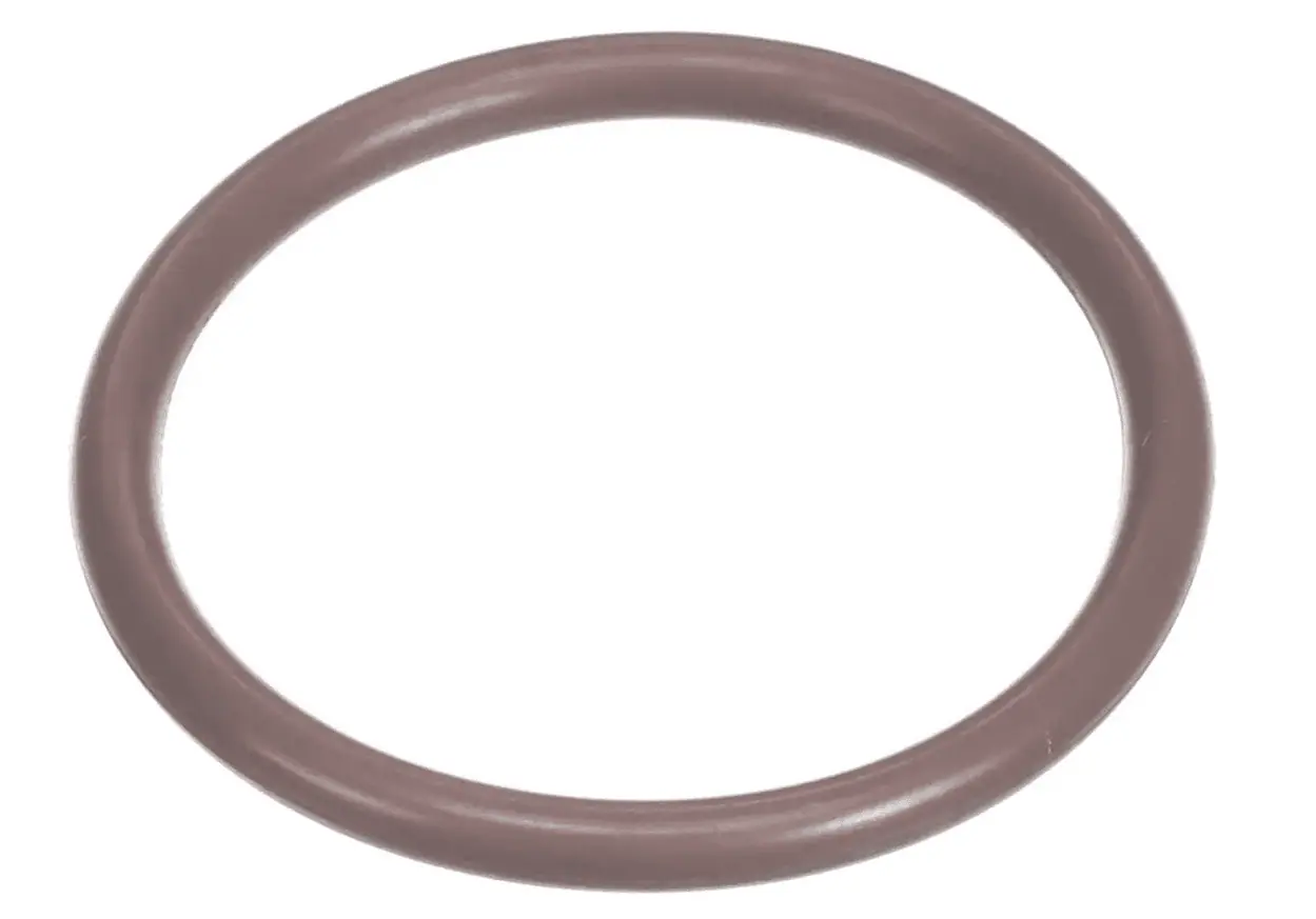 O-Ring221/75